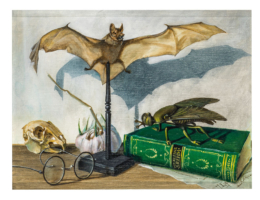 “The Little Brehm” – Design: acrylic on canvas. The picture title equals the book title plus nearby objects. However: the garlic bulb stands in the superstitious context of the bat.